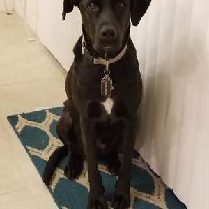 Fundraising Page: Olivia Jaze